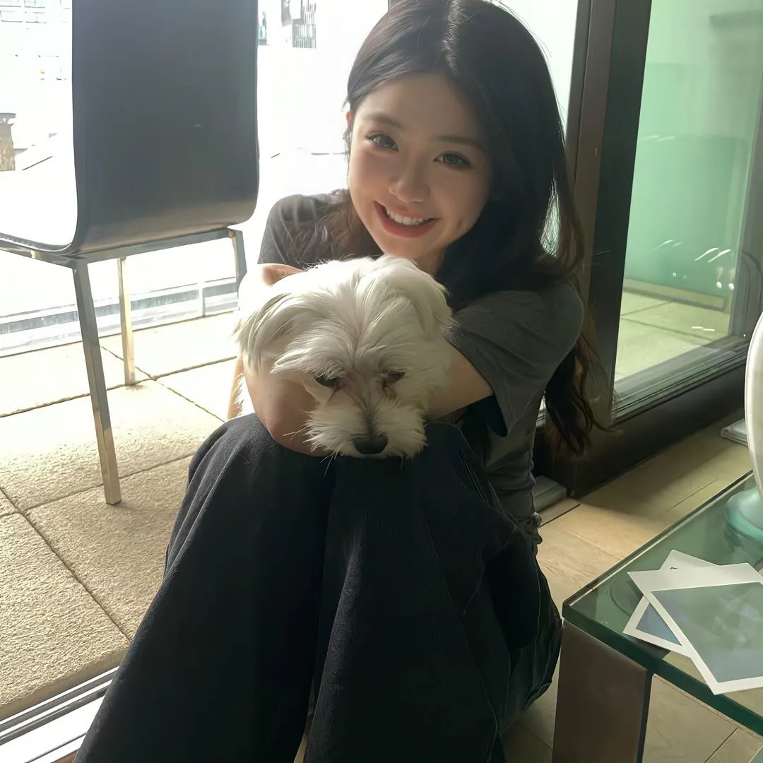 怪医杜立德：百万美元笨蛋